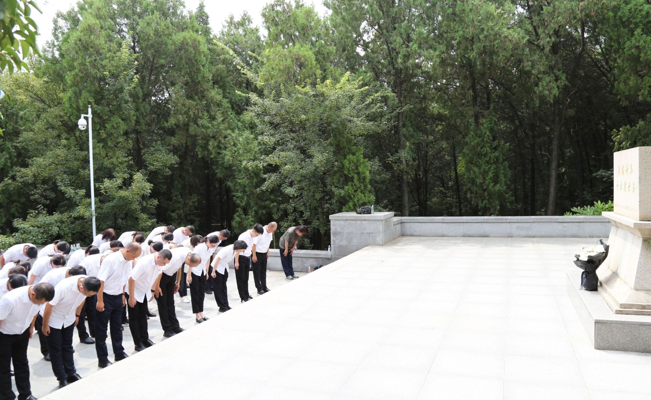 9001cc金沙以诚为本(中国集团)有限公司官网