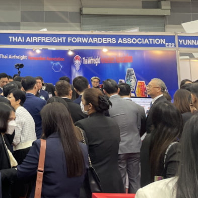 9001cc金沙以诚为本(中国集团)有限公司官网