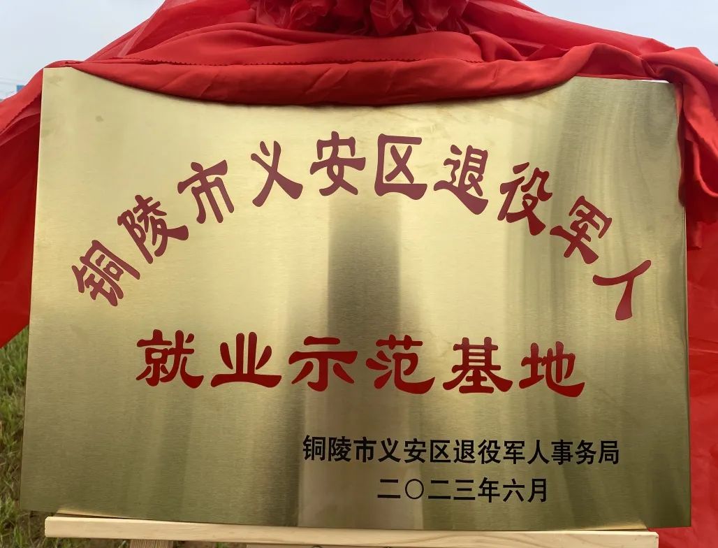 9001cc金沙以诚为本(中国集团)有限公司官网