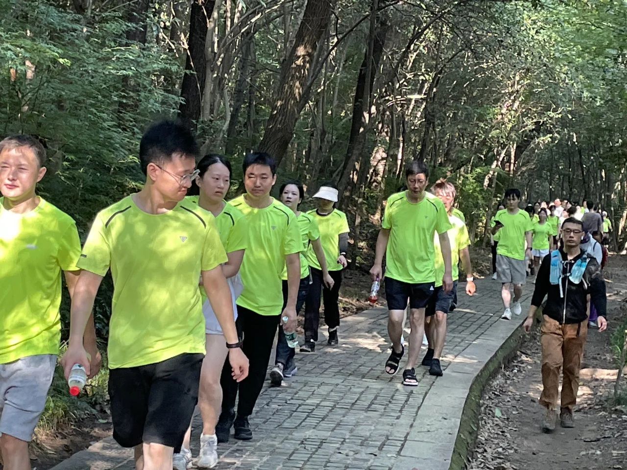 9001cc金沙以诚为本(中国集团)有限公司官网